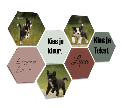 xhexagon eigen design